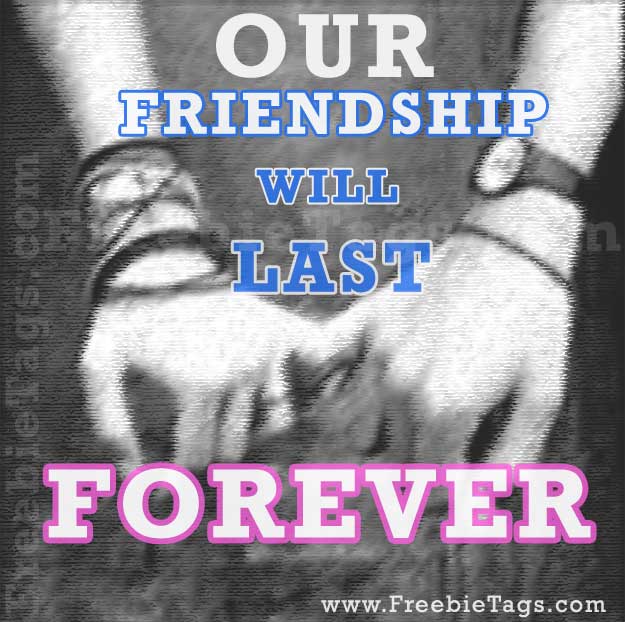 Our friendship will last forever tag